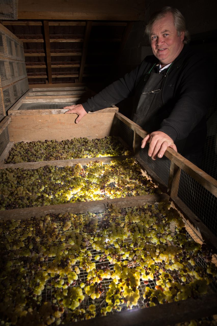 Vins Vigneron François Mossu Mossu-0006